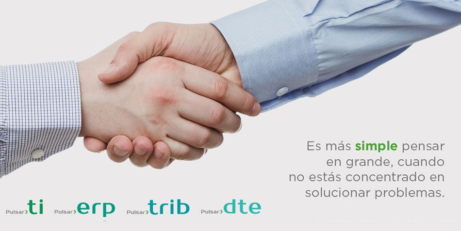 Púlsar, Software gestión ERP para empresas y Servicios TI, Chile.